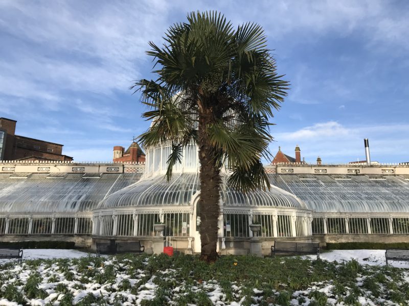 O que fazer em&nbsp;Belfast?