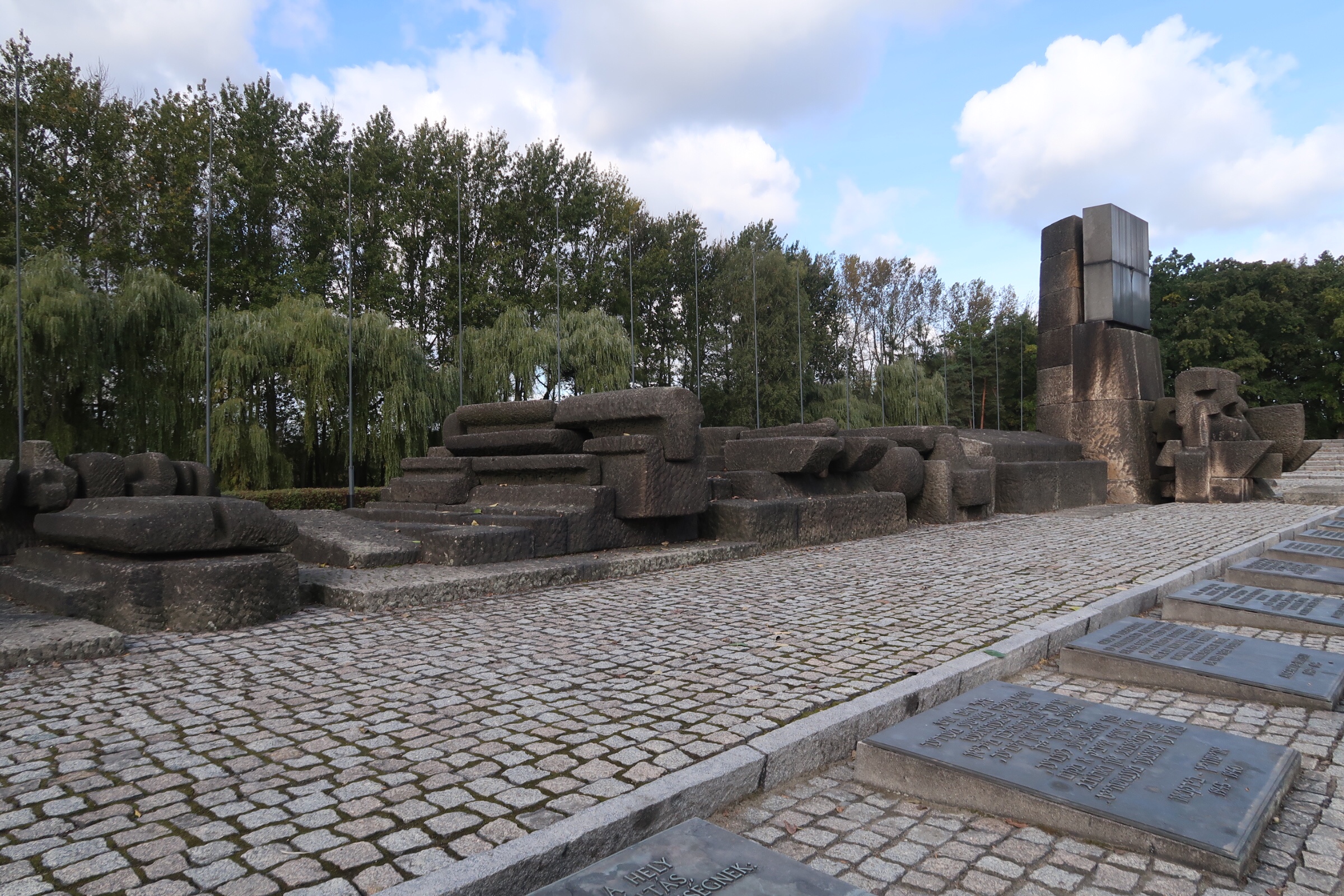 10741575344_img_4824