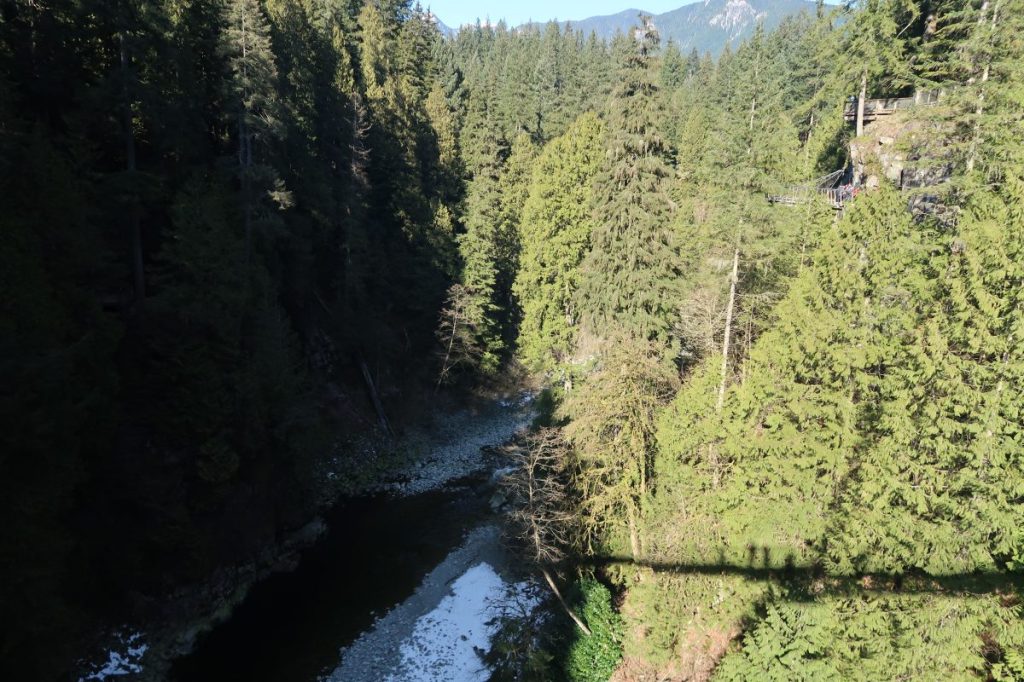 Capilano Suspension Bridge Park: aventura nas&nbsp;alturas