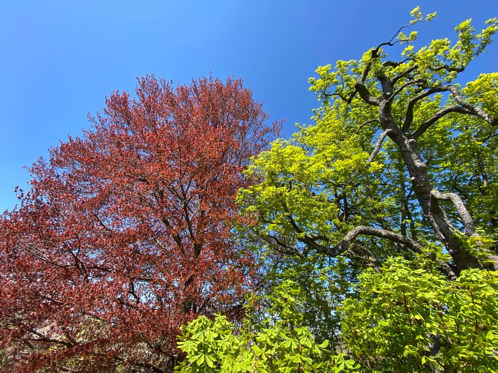 A crônica dos 45&nbsp;dias