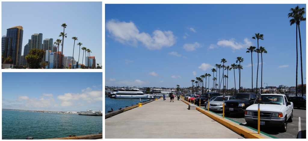 lugar delícia pra passar o dia! dá pra alugar bicicleta, almoçar olhando a baía...