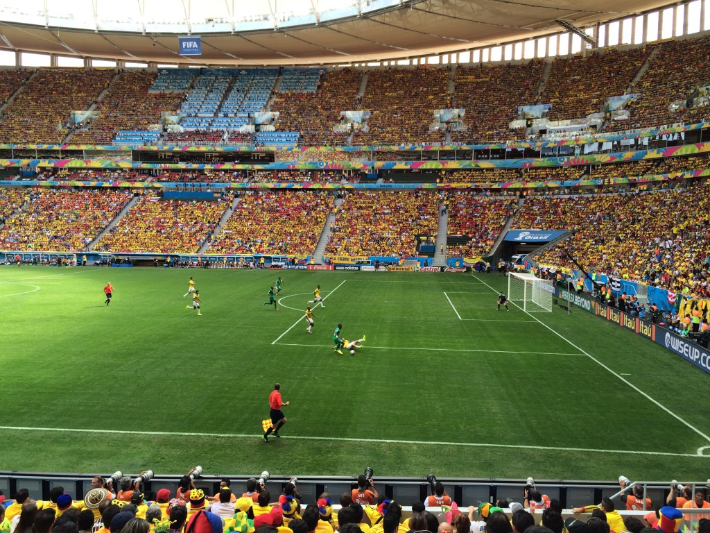 quase beijando o gramado do Mané Garrincha de tão perto (x