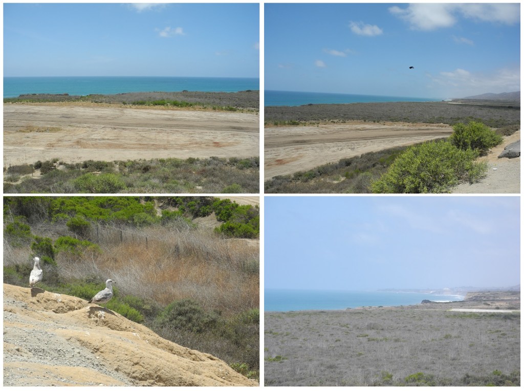 in the biiiiig blue wooooorld